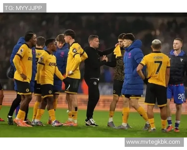 英冠激战狼队迎战米德尔斯堡争夺关键三分全力以赴不容错过 英冠激战狼队迎战米德尔斯堡争夺关键三分全力以赴不容错过