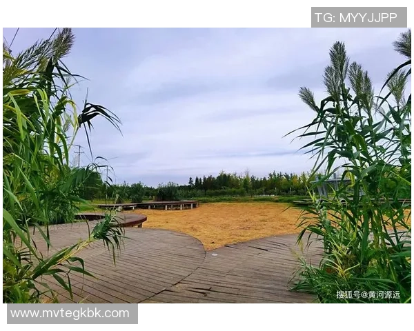 在秋色美景中痛快运动，奉贤海湾镇这一活动不容错失